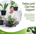 Mini Twigs Plant Support Stakes - Image 3