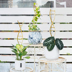 Indoor Plant Trellis for Potted Plants - Image 5