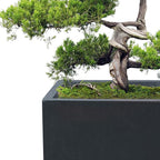 Kante 15.7" H Tall Rectangular Concrete Planters, Outdoor Indoor Lightweight - Image 3