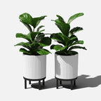 Veradek Demi Series Round Planter w/Stand - Image 9