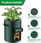 6 Pack Potato Grow Bags, 10 Gallon Planting Bags Durable PE Vegetable Planter - Image 4