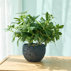 AlphaAcc 9.5" Artificial Plants - Image 2