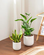 vancasso 6 Inch Ceramic Plant Pots, Planters - Image 6