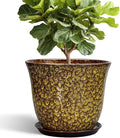 12 Inch Plant Pot by SUNPOTFOR