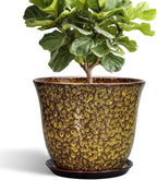 12 Inch Plant Pot by SUNPOTFOR