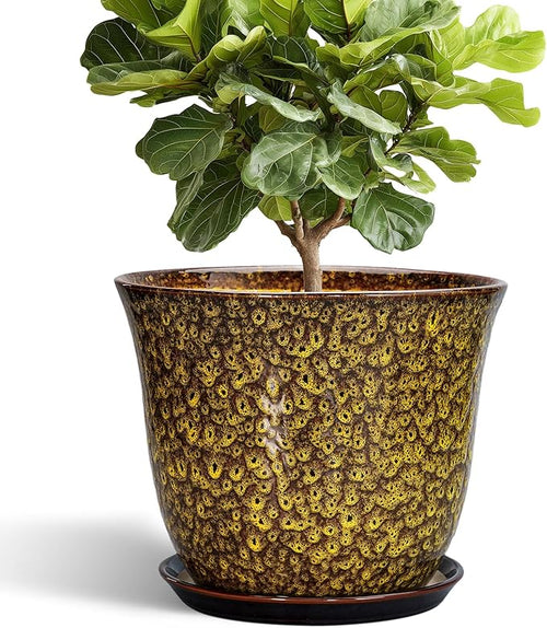 12 Inch Plant Pot by SUNPOTFOR