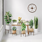 5 Pack Heavy Duty Rustproof Iron Corner Flower Pot Stand Holder, Round Supports - Image 2