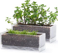 D'vine Dev 12 Inch Window Box Planter, Rectangle Plastic Herb Planter by DvineDevPlanterPotsandStand