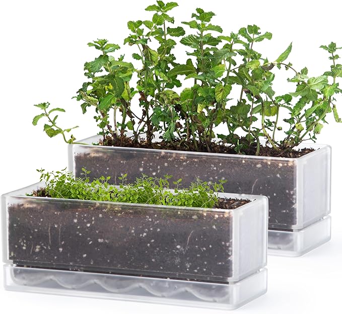 D'vine Dev 12 Inch Window Box Planter, Rectangle Plastic Herb Planter by DvineDevPlanterPotsandStand
