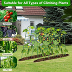 Cucumber Trellis for Raised Bed, U-Shape Garden Trellis for Climbing Plants - Image 4