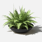 Veradek Mason Series Lane Bowl Planter| - Image 8