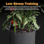 Self-Watering Grow Bags, for Low Stress Plant Training Fruits, Vegetables - Image 4