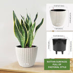 Dexceder 11x10 Inches Rattan Self Watering Planter Indoor Outdoor, Inner Pot - Image 3