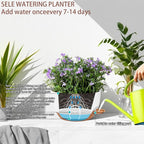 2 Pack 12 Inch Self Watering Hanging Planters - Image 7