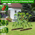 Cucumber Trellis for Raised Bed, U-Shape Garden Trellis for Climbing Plants - Image 4