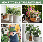 17.5 Inch Plant Trellis Indoor for Climbing Plants, Metal Trellis, Small Garden - Image 7