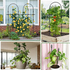 2026 New Upgraded Garden Trellis - Image 7