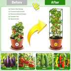 Legigo 6 Pack Square Tomato Cages - Image 3