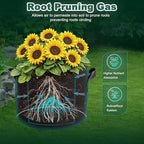 5 Pack 10 Gallon Thickened Grow Bags, Aeration Nonwoven Fabric Planting Bags - Image 6