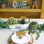 Winlyn Set of 3 Assorted Artificial Succulent Plants in White Concrete Pots - Image 5