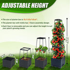2 Packs Raised Garden Bed Tomato Planter Box - Image 5