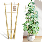 Avalution 10 Pack Bamboo Trellis by Avalution