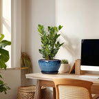 Ceramic Pots for Plants - Image 7