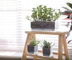 D'vine Dev 12 Inch Window Box Planter, Rectangle Plastic Herb Planter - Image 6