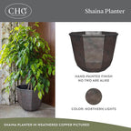 Classic Home and Garden Shaina Planting Pots - Image 2