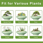 Ceramic Bonsai Pots - Image 7