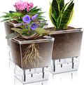 Self Watering Pots Set, 3 Pack 5 Inch by IWNTWY