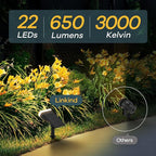 Linkind Solar Lights Outdoor Waterproof IP65, StarRay Dusk-to-Dawn Outdoor - Image 2