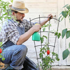 4 Pack 23'' Indoor Plant Trellis - Image 3