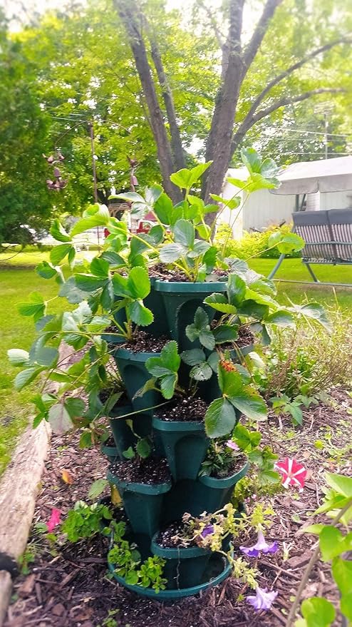 Mr. Stacky 1305-HG 5-Tier Stackable Strawberry, & Vegetable Planter - Image 3