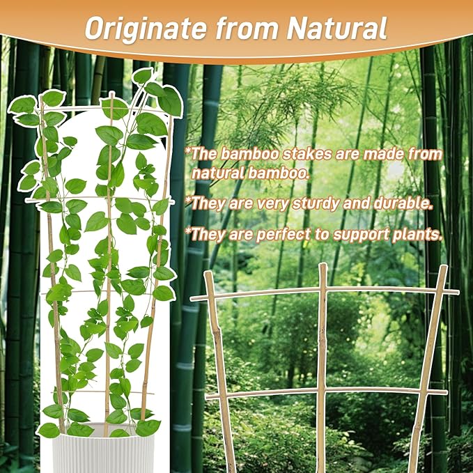 10 Pack 2ft Bamboo Trellis for Climbing Plants-Natural Garden Ladder Trellis - Image 3