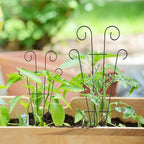 4 Pack 23'' Indoor Plant Trellis - Image 6