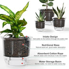 Plant Pots 6/5/4 inch Set of 3, Self Watering Pots - Image 4