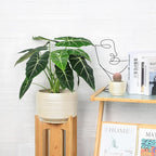 10 Inch Ceramic Plant Pot with Drainage – Large Flower Pot - Image 4