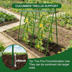 2-Pack A-Frame Cucumber Trellis - Image 4