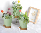 12 Pack 4 Inch Self Watering Plant Pots - Image 6