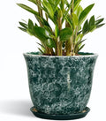 Ceramic Plant Pots by SUNPOTFOR