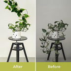 Chain Trellis for Climbing Plants - Image 4