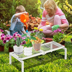 1 Tier Metal Plant Stand Indoor Outdoor, Potted Multiple Flower Pot Holder Rack - Image 5