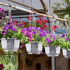 Roshtia 50 Pcs 5.9 inch Plastic Hanging Plant Pots - Image 5