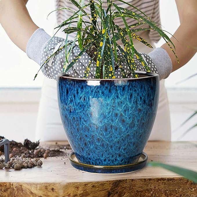 8 Inch Ceramic Planter Pot - Image 4