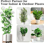 ZOUTOG Trellis for Climbing Plants Indoor 4 Pack 30 Inch, Rustproof Metal - Image 5