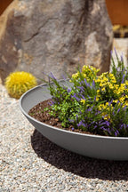 Veradek Mason Series Lane Bowl Planter| - Image 5