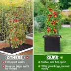 ANPHSIN 2 Sets Tomato Cages - Image 2
