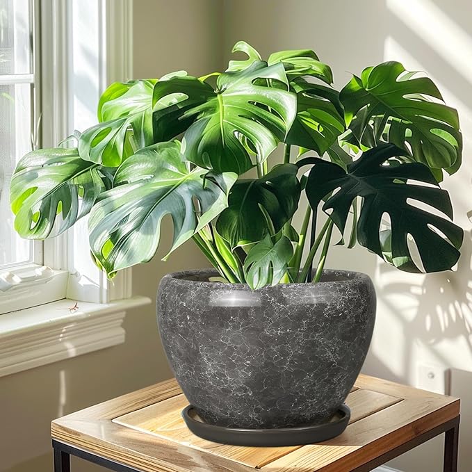 Ceramic Planters for Indoor Plants - Image 5