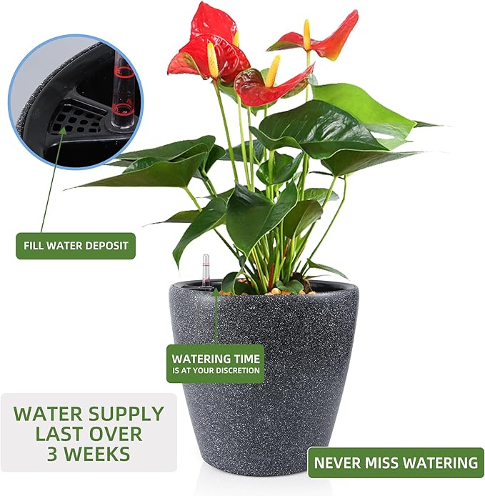 Dexceder 18x17 Self Watering Planter - Image 5